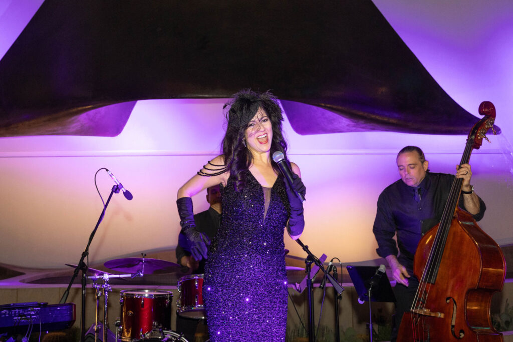 singer on stage at a party